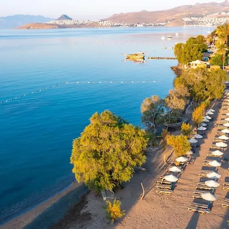 Vila Authentic Bodrum With Special Private Pool