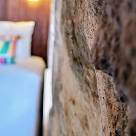 Vila Authentic Bodrum With Special Private Pool