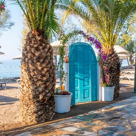 Vila Authentic Bodrum With Special Private Pool *