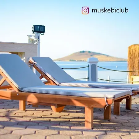 Authentic Bodrum With Special Private Pool Villa
