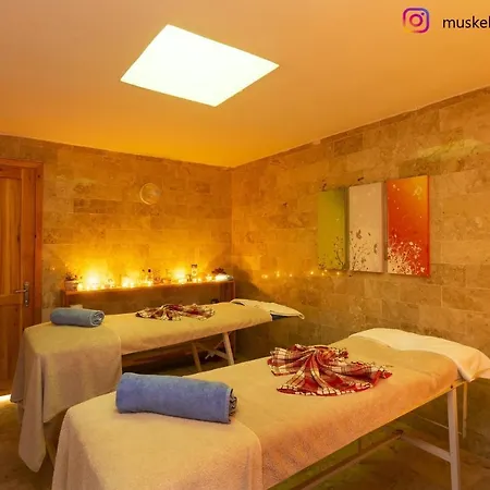 Vila Authentic Bodrum With Special Private Pool