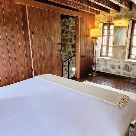 Vila Authentic Bodrum With Special Private Pool *