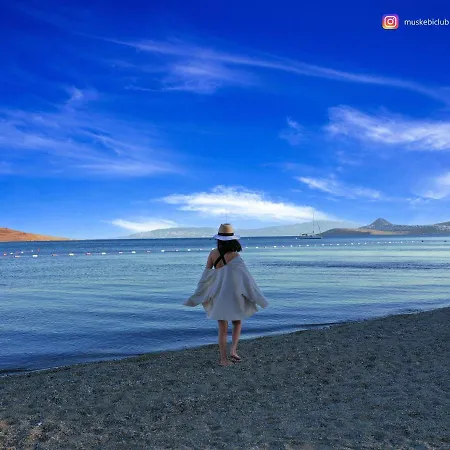 Vila Authentic Bodrum With Special Private Pool *