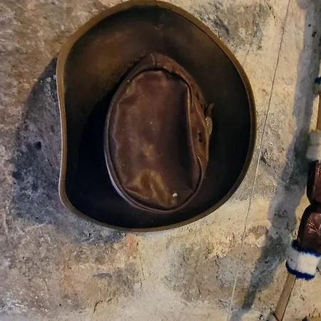 Authentic Bodrum With Special Private Pool Vila Ortakent