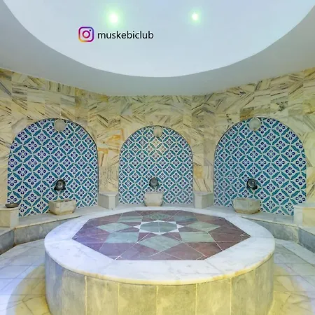 Vila Authentic Bodrum With Special Private Pool *