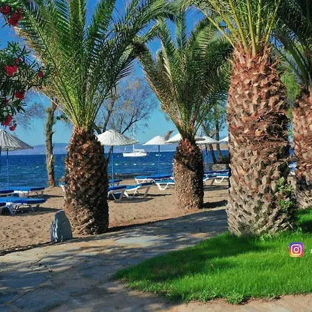 Authentic Bodrum With Special Private Pool Vila *