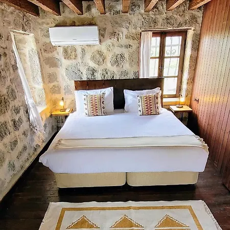 Authentic Bodrum With Special Private Pool Vila Ortakent