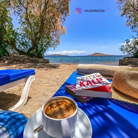 Vila Authentic Bodrum With Special Private Pool